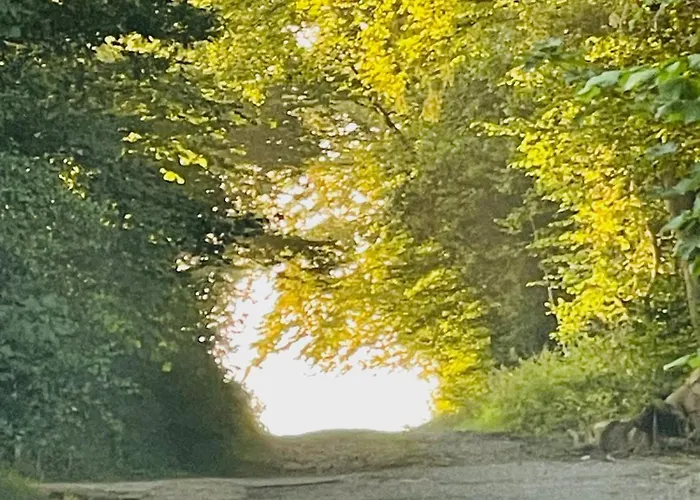 Lejlighed Schieberg Balve